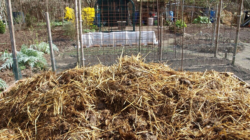 Compost